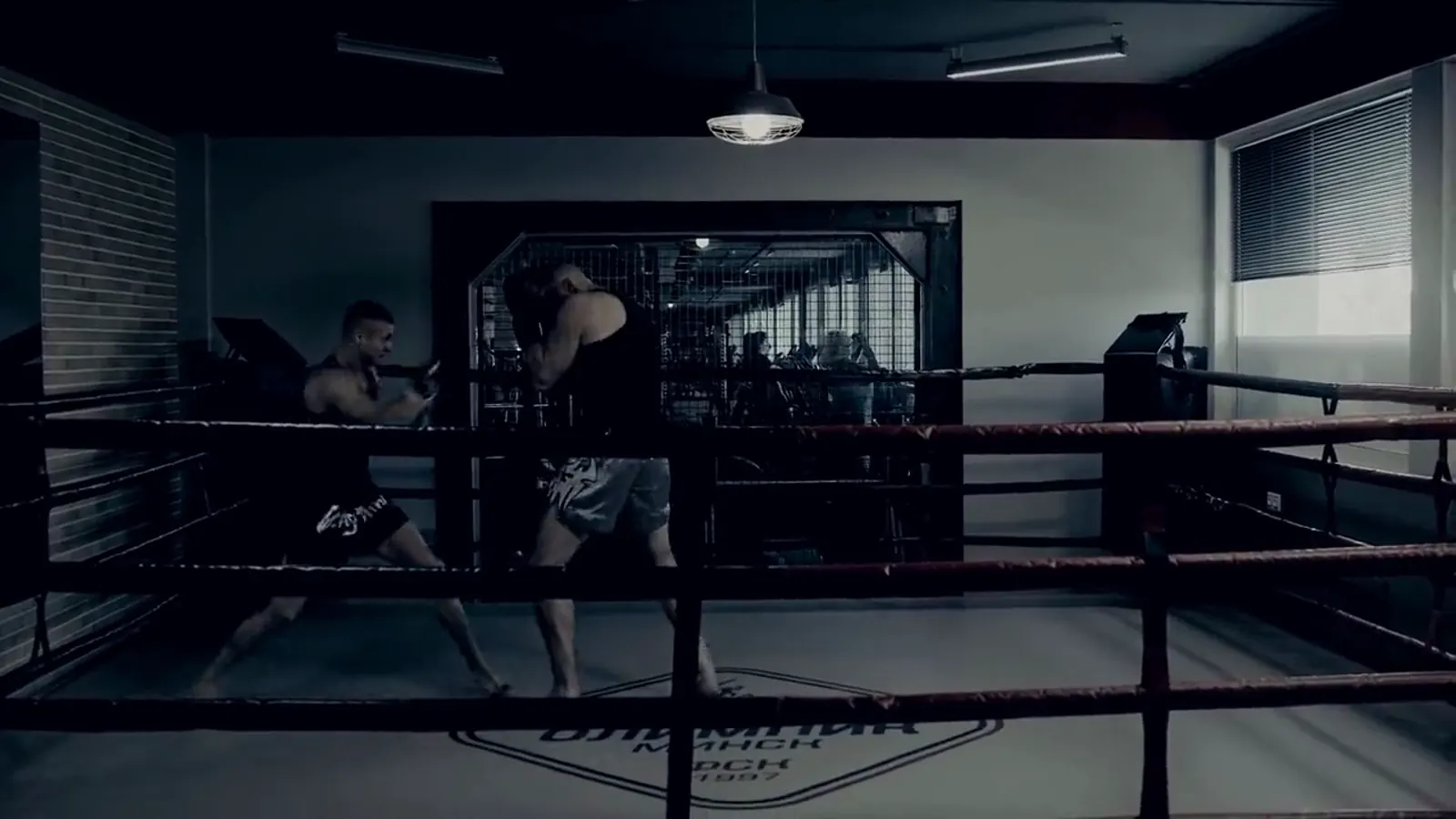 Clase de boxeo en Boxing Stars